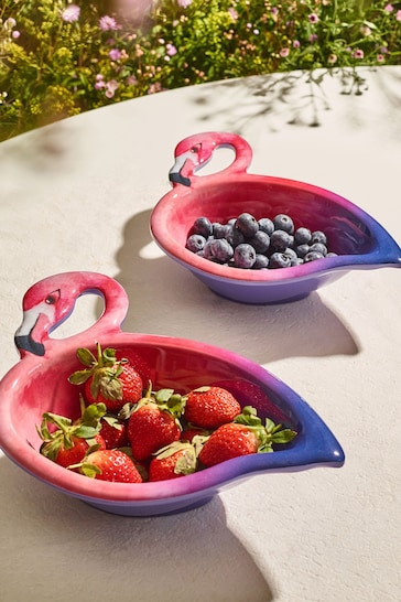 Set of 2 Pink/Purple Flamingo Picnic Serve Bowls