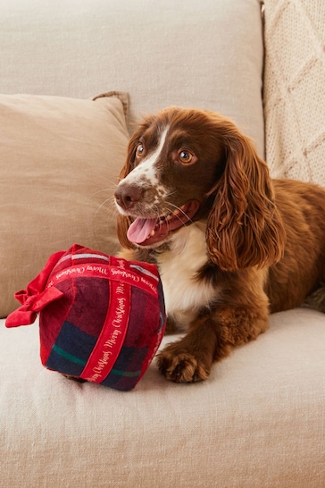 Red Check Christmas Present Pet Toy
