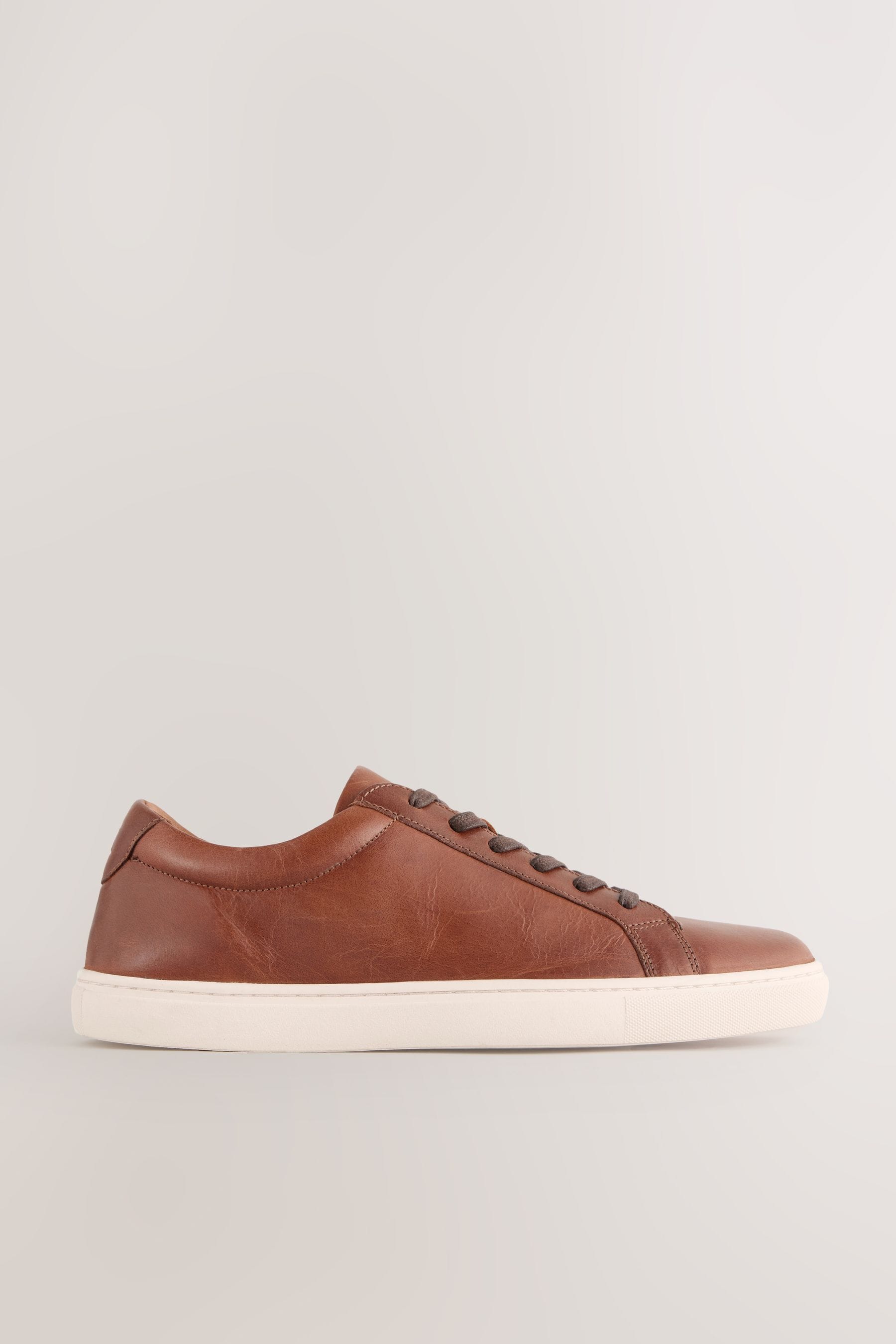 Buy Tan Brown Leather Trainers from the Next UK online shop