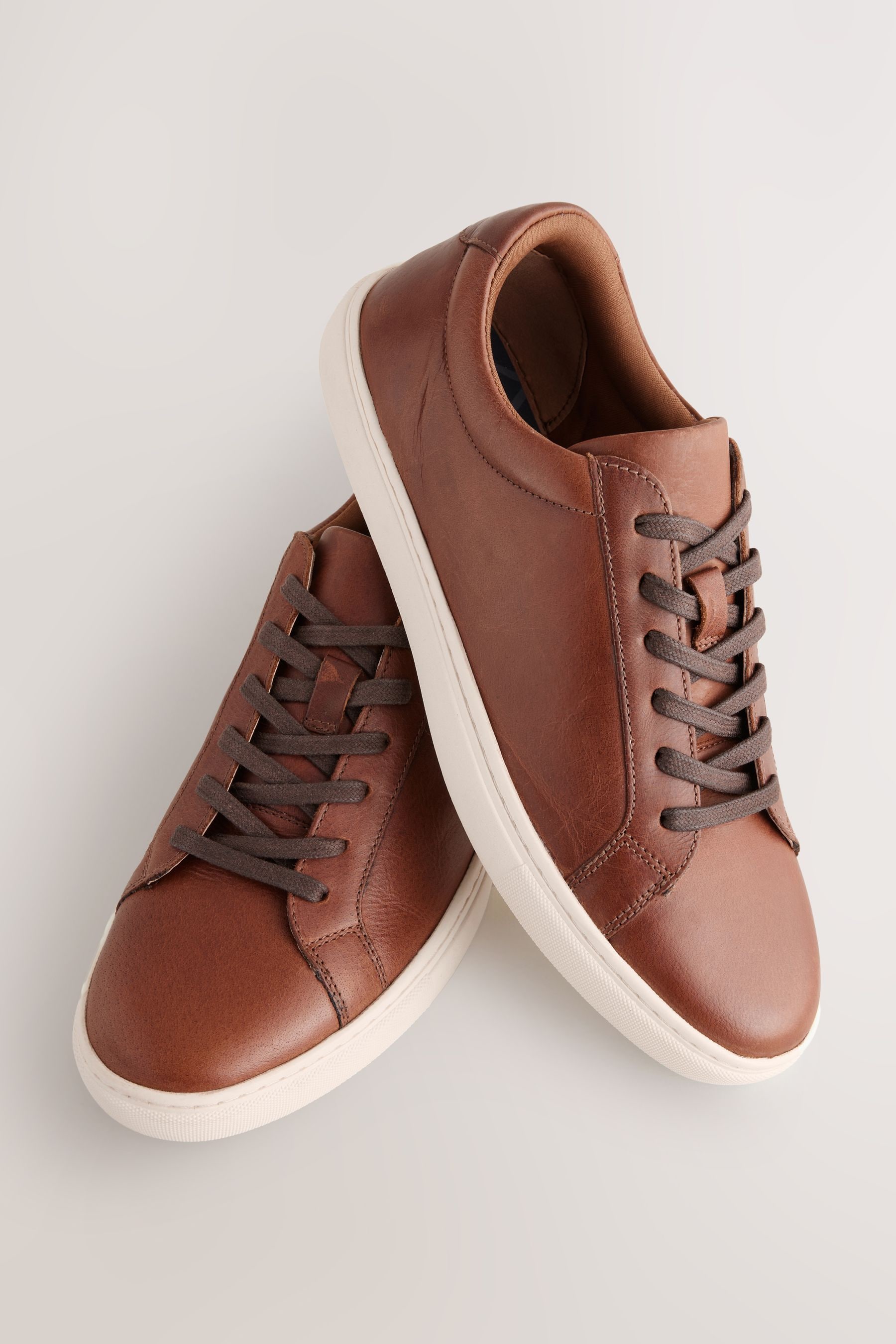 Buy Tan Brown Leather Trainers from Next United Arab Emirates