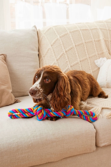 Multicoloured Rope Double Knot Pet Toy