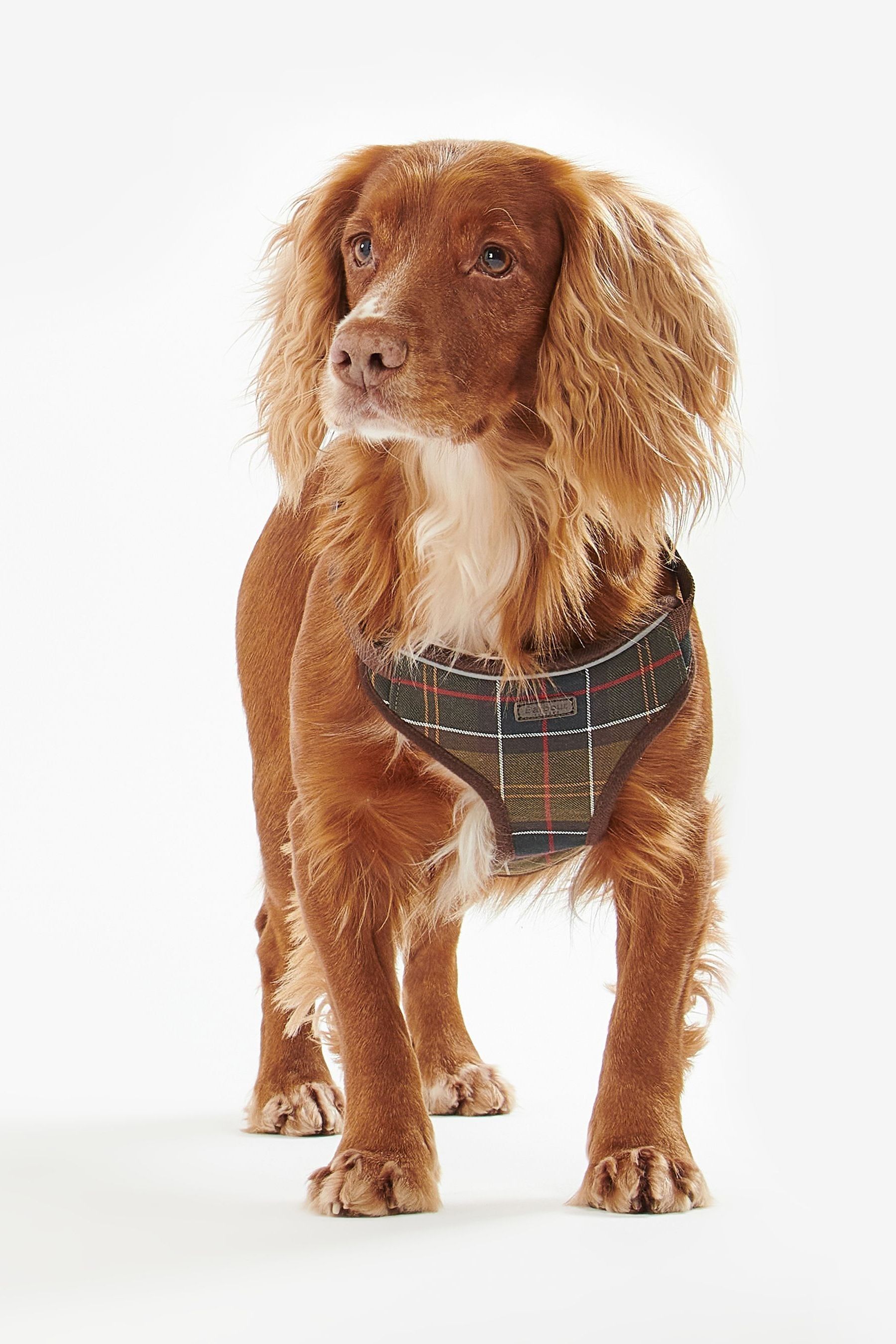 Buy Barbour Khaki Green Classic Tartan Dog Travel Harness and