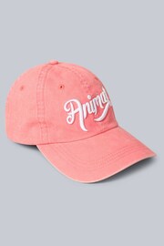 Animal Womens Pink Sophia Organic Coast Cap - Image 3 of 3