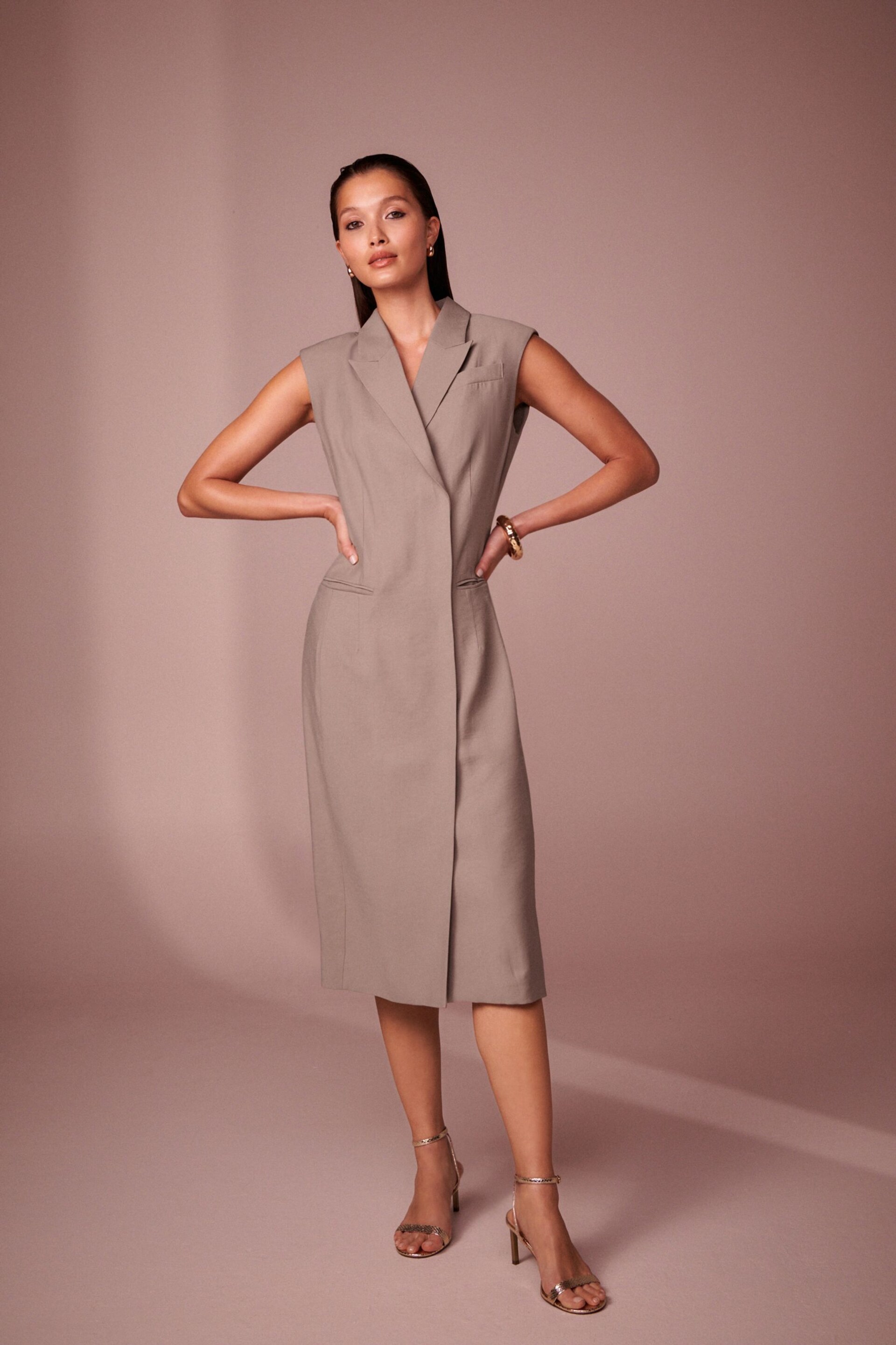 Mink Brown Mini Sleeveless Blazer Dress - Image 1 of 5