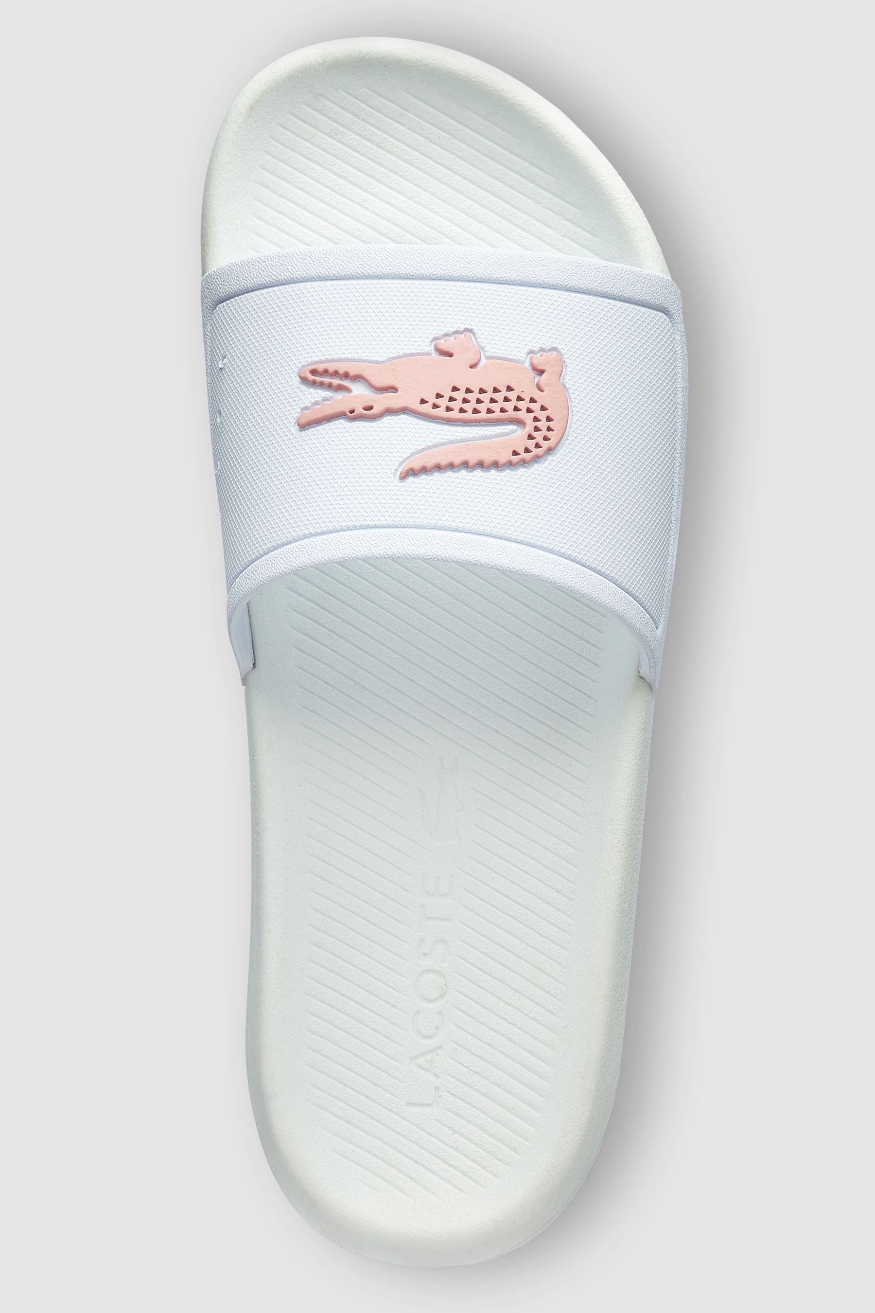 Buy Lacoste Slide from Next Luxembourg