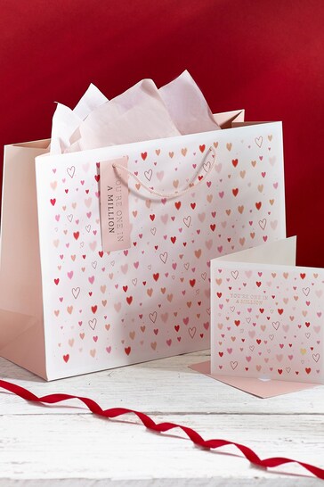 Pink Valentine's Mini Hearts Gift Bag and Card Set