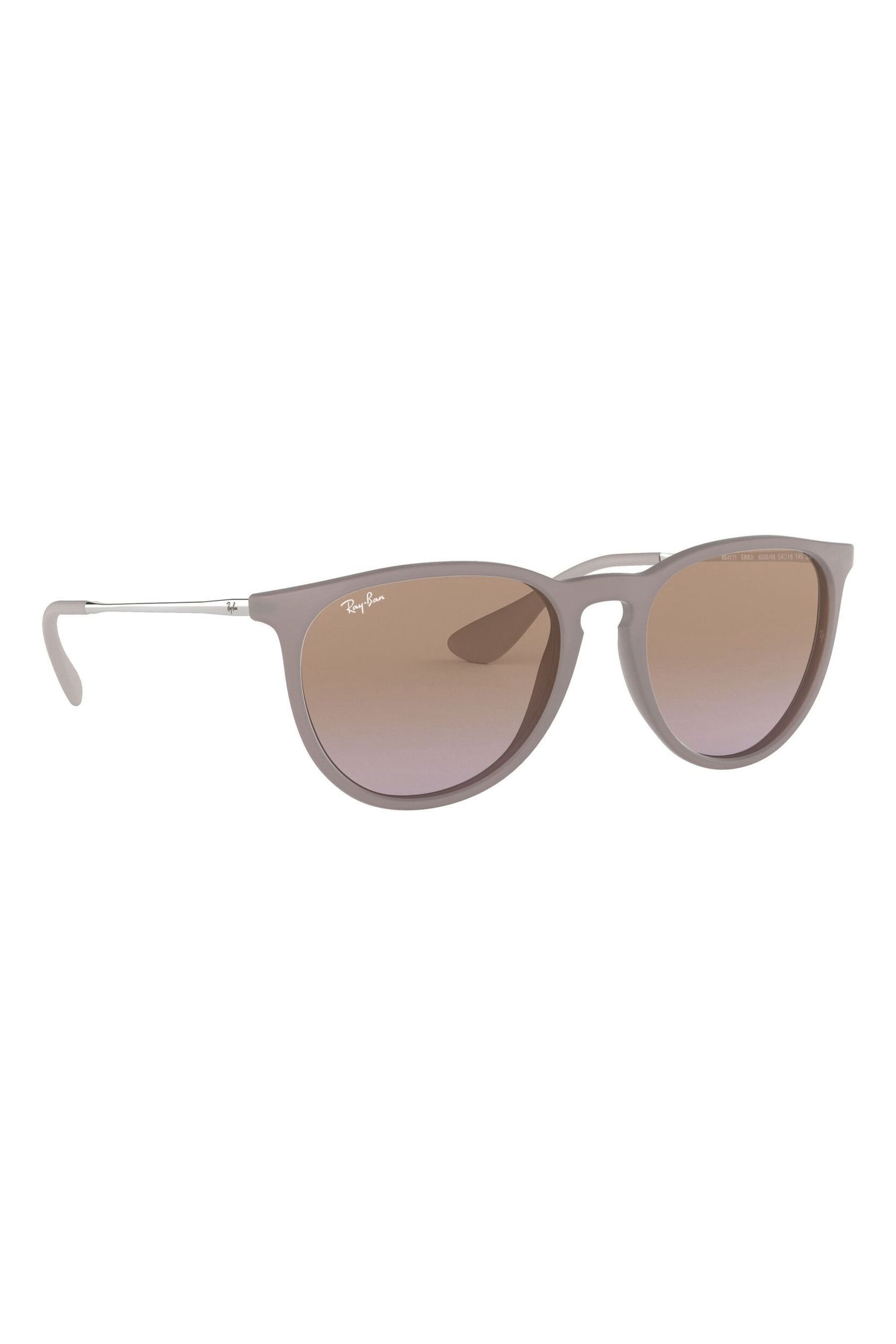 Ray Ban Erika Sunglasses