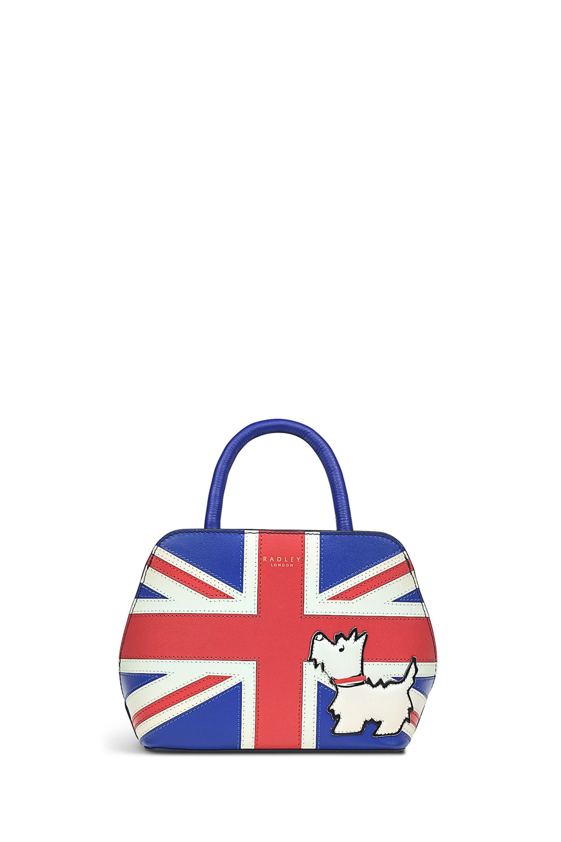 Buy Radley London Small Blue The Anniversary Minis Ziptop Grab Bag from the Next UK online shop