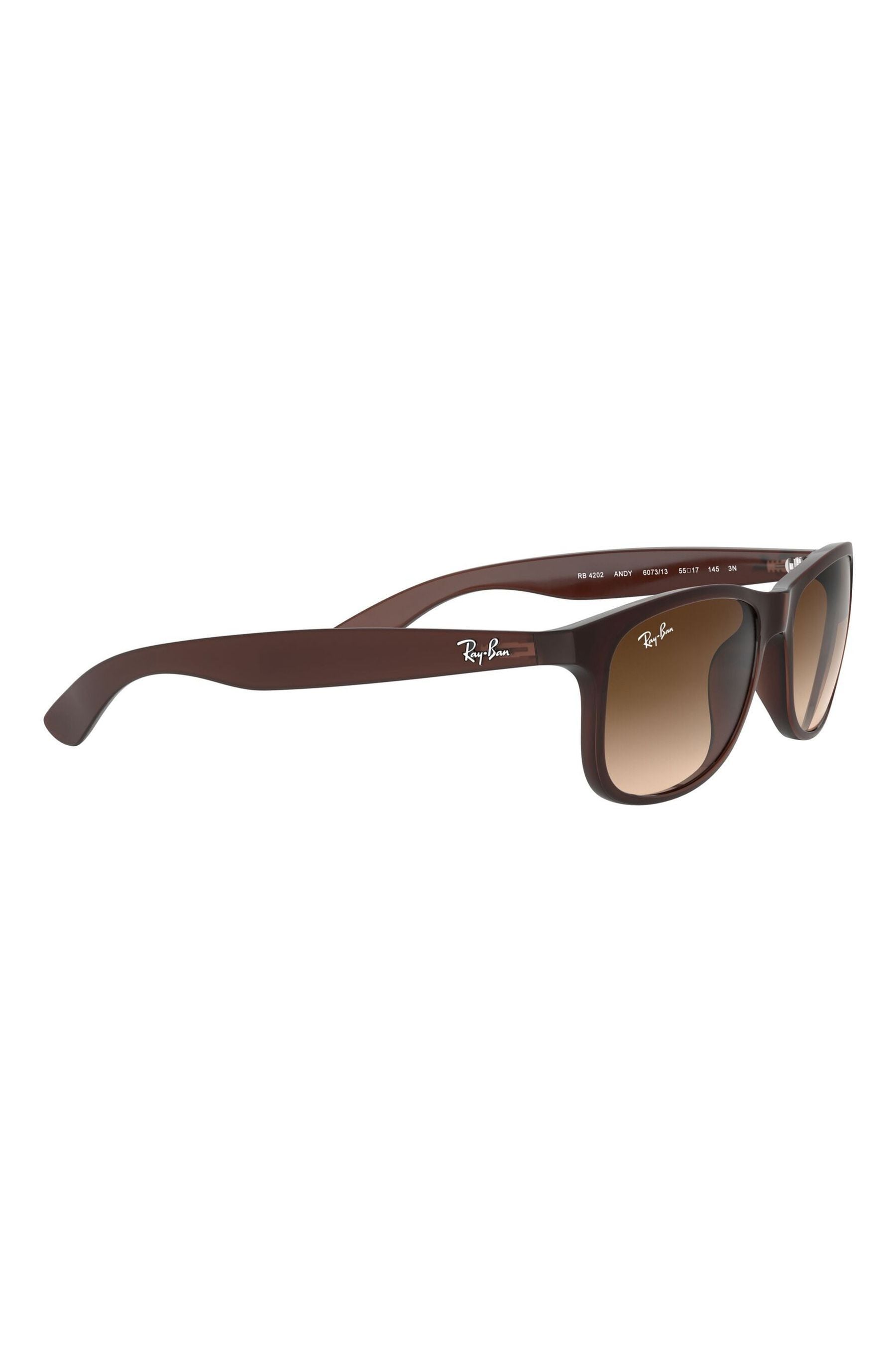 Buy Ray Ban Andy Sunglasses from the Next UK online shop