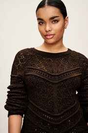 Brown Crochet Crew Neck Long Sleeve Jumper - Image 1 of 5