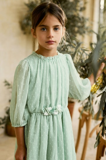 Mint Green Chiffon Corsage Dress (3-16yrs)