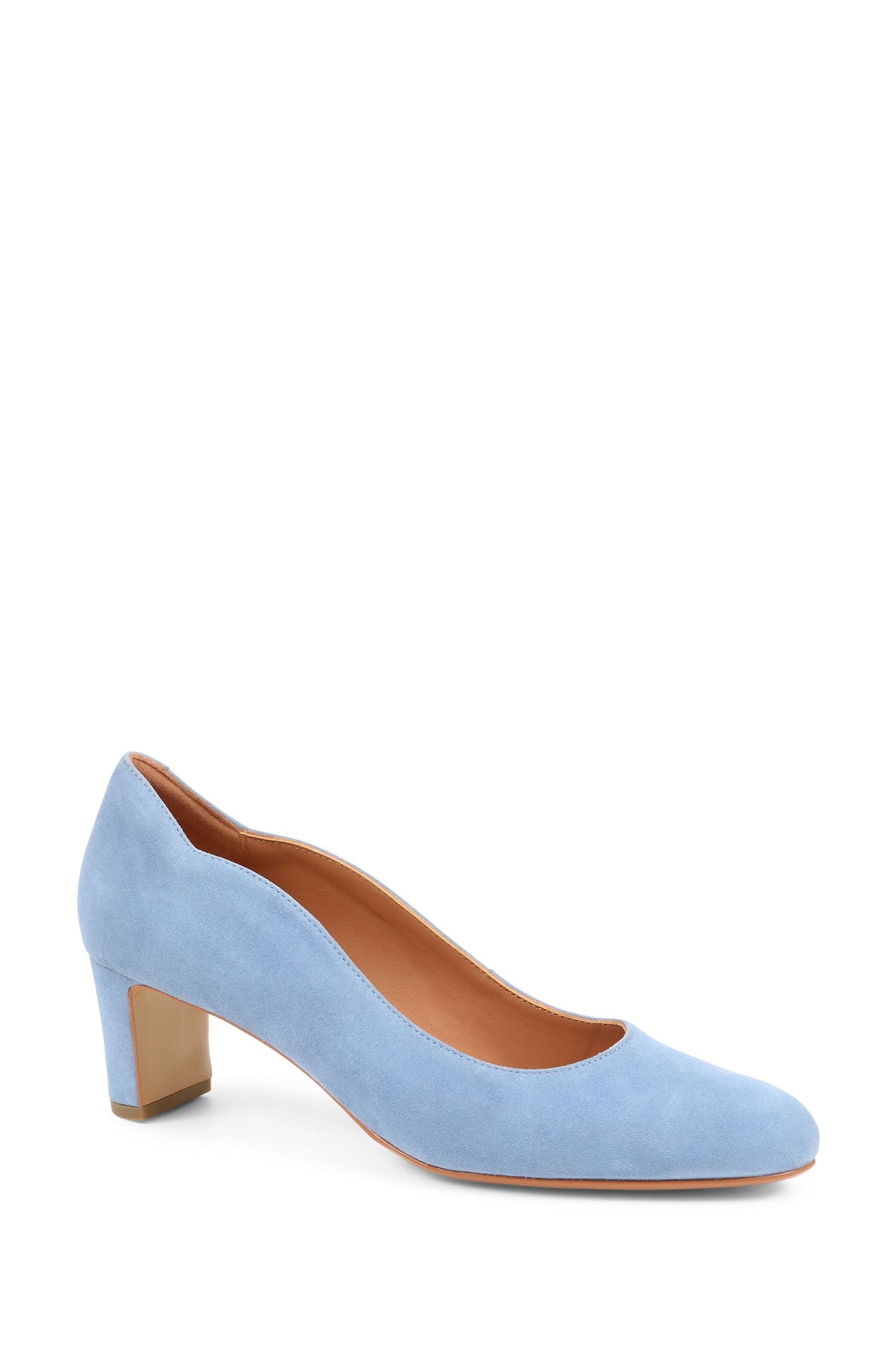 Buy Jones Bootmaker Blue Zoey Leather Court Shoes from the Next UK
