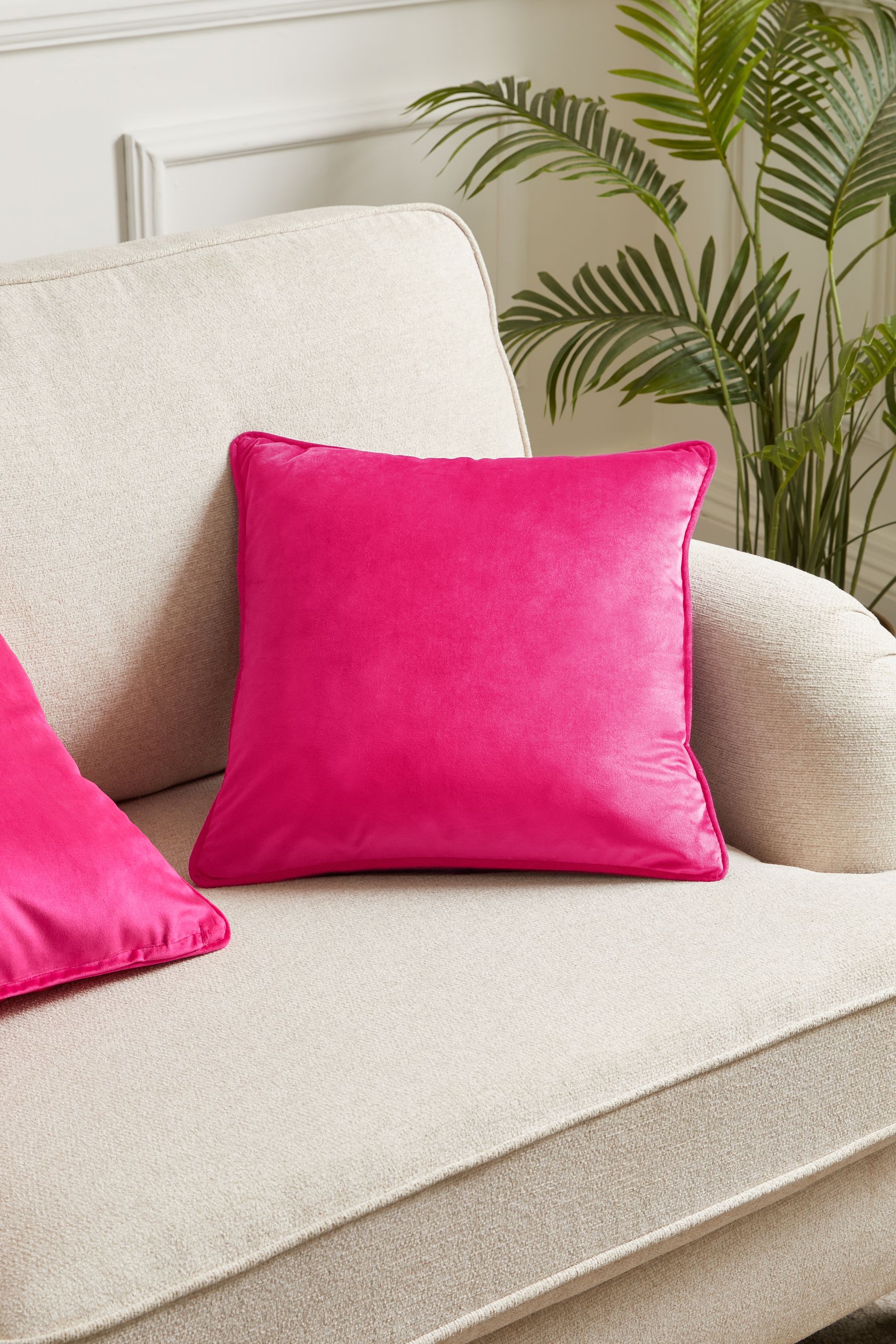 Buy Fuchsia Pink 43 x 43cm Matte Velvet Cushion from the Next UK online shop