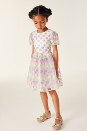 Baker by Ted Baker Multicolour Organza Dress - Image 1 of 8