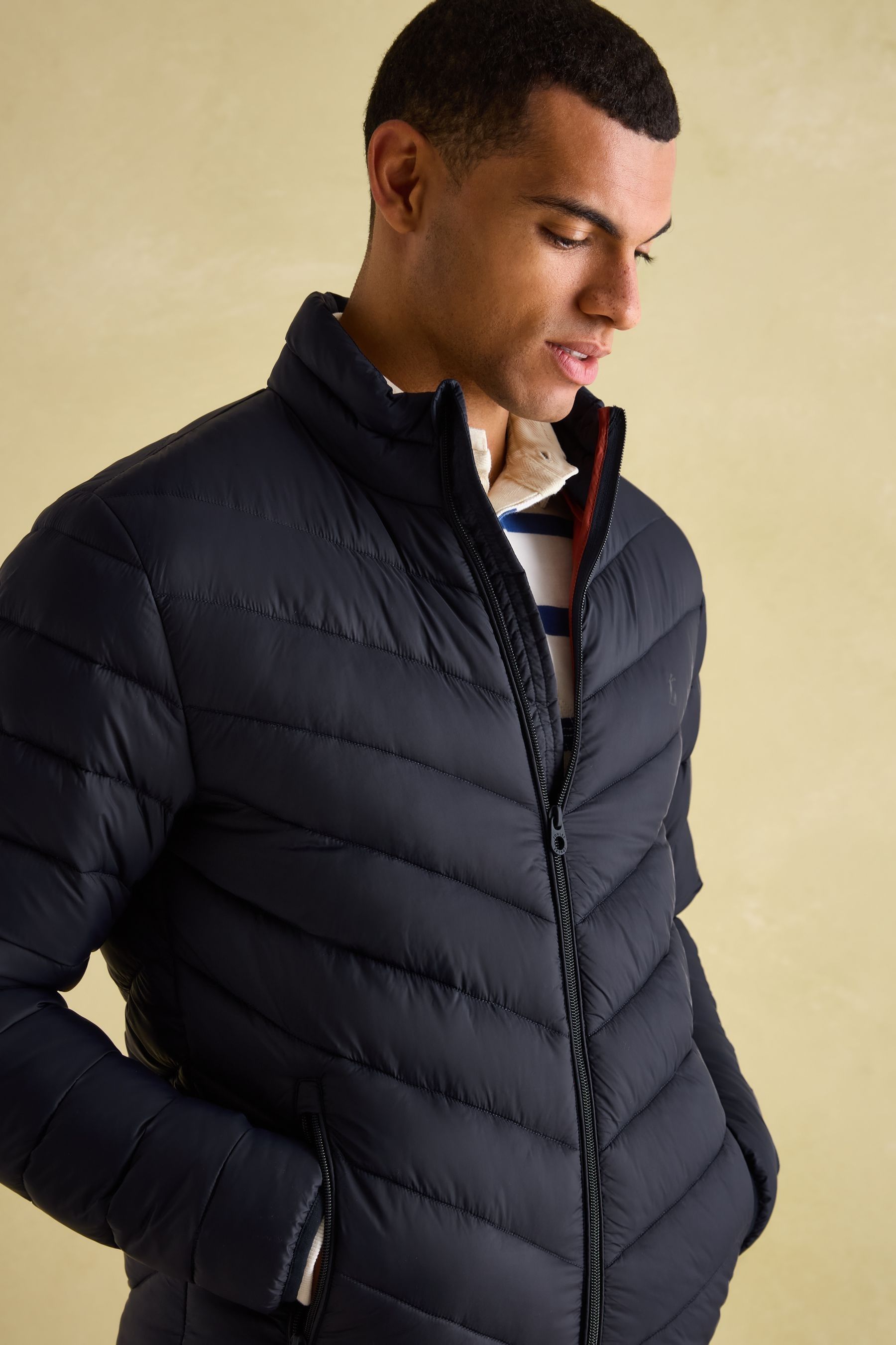 Joules navy jacket sale best sale