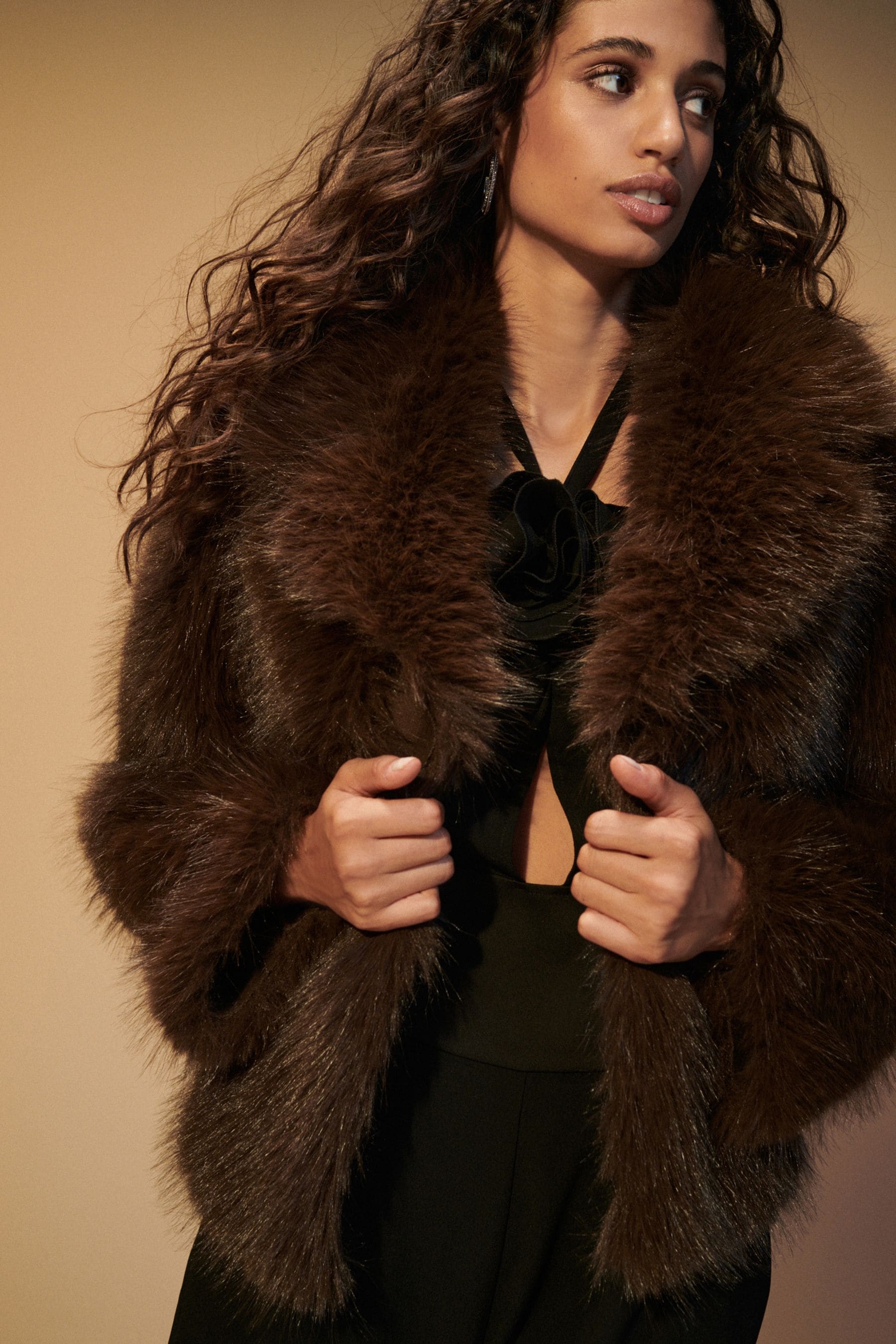 Chocolate fur coat online