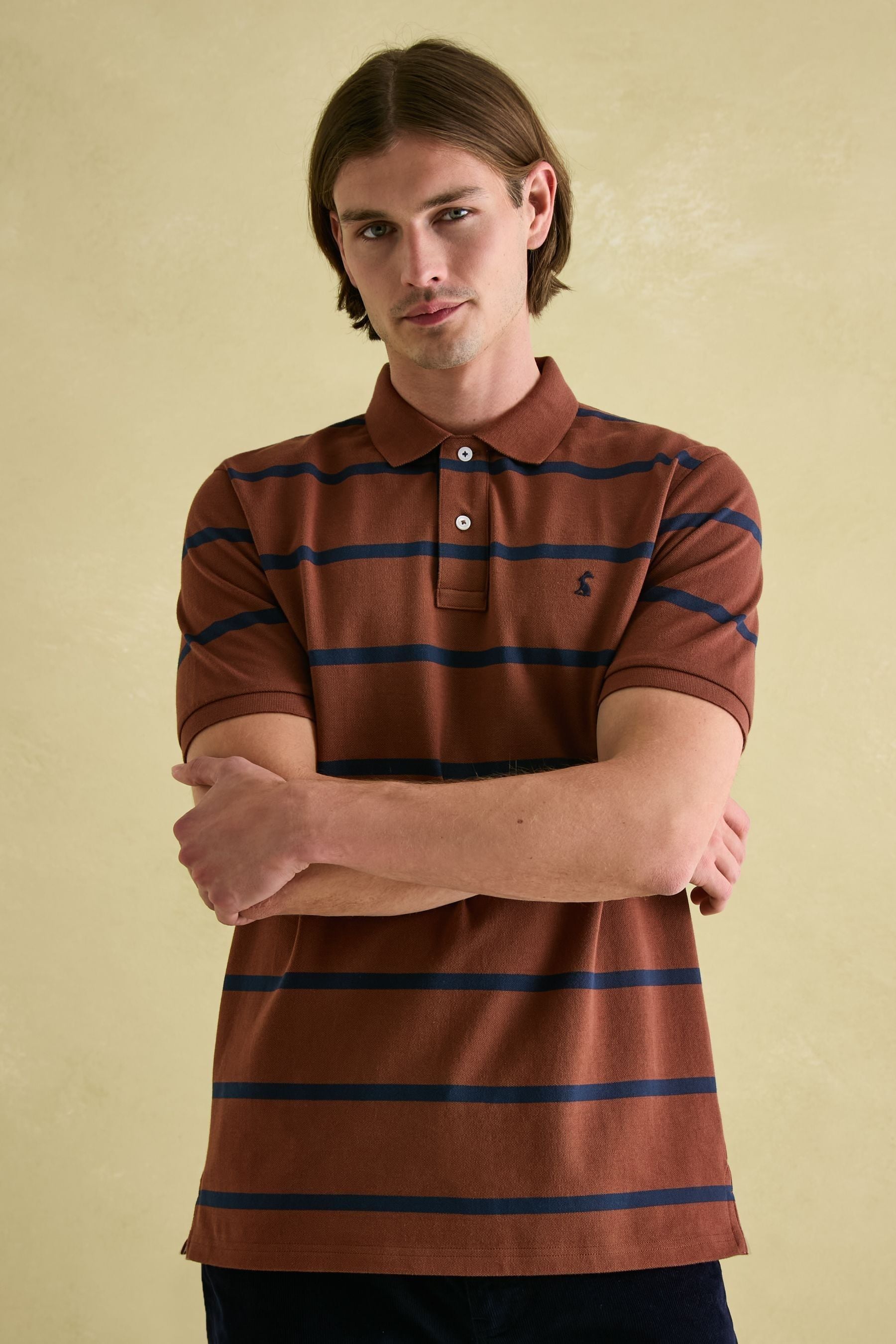 Buy Joules Filbert Brown Navy Striped Polo Shirt from Next Luxembourg