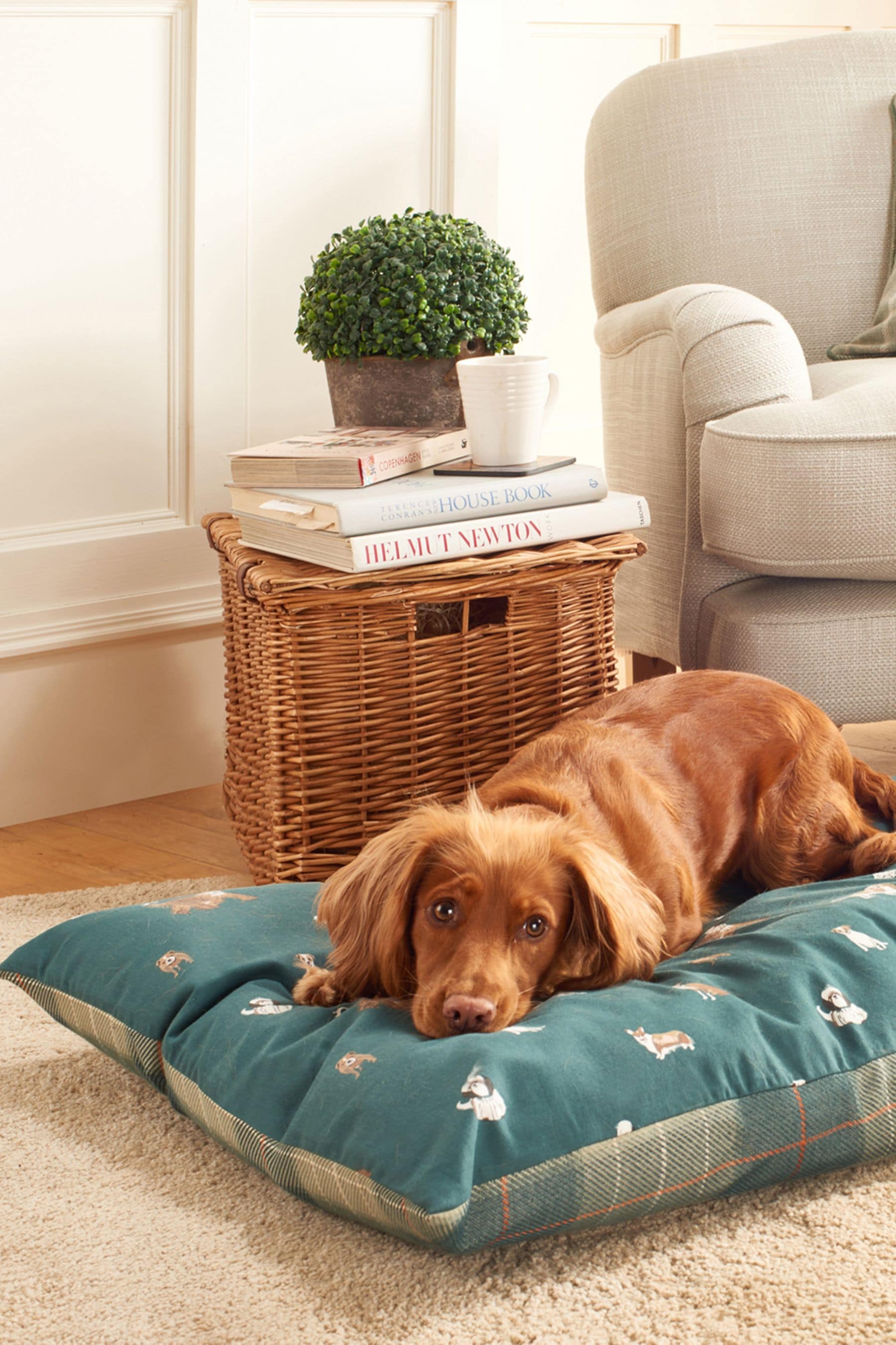 Llbean dog outlet bed cover