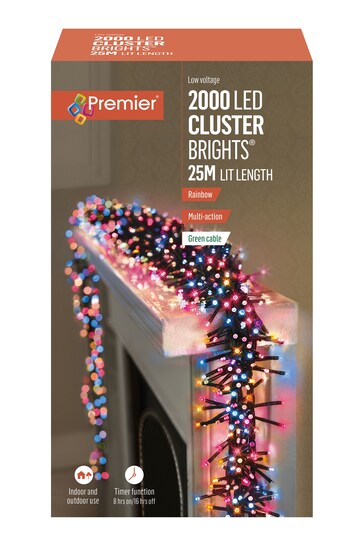 Premier Decorations Ltd Red LED Clusters With Timer Lights