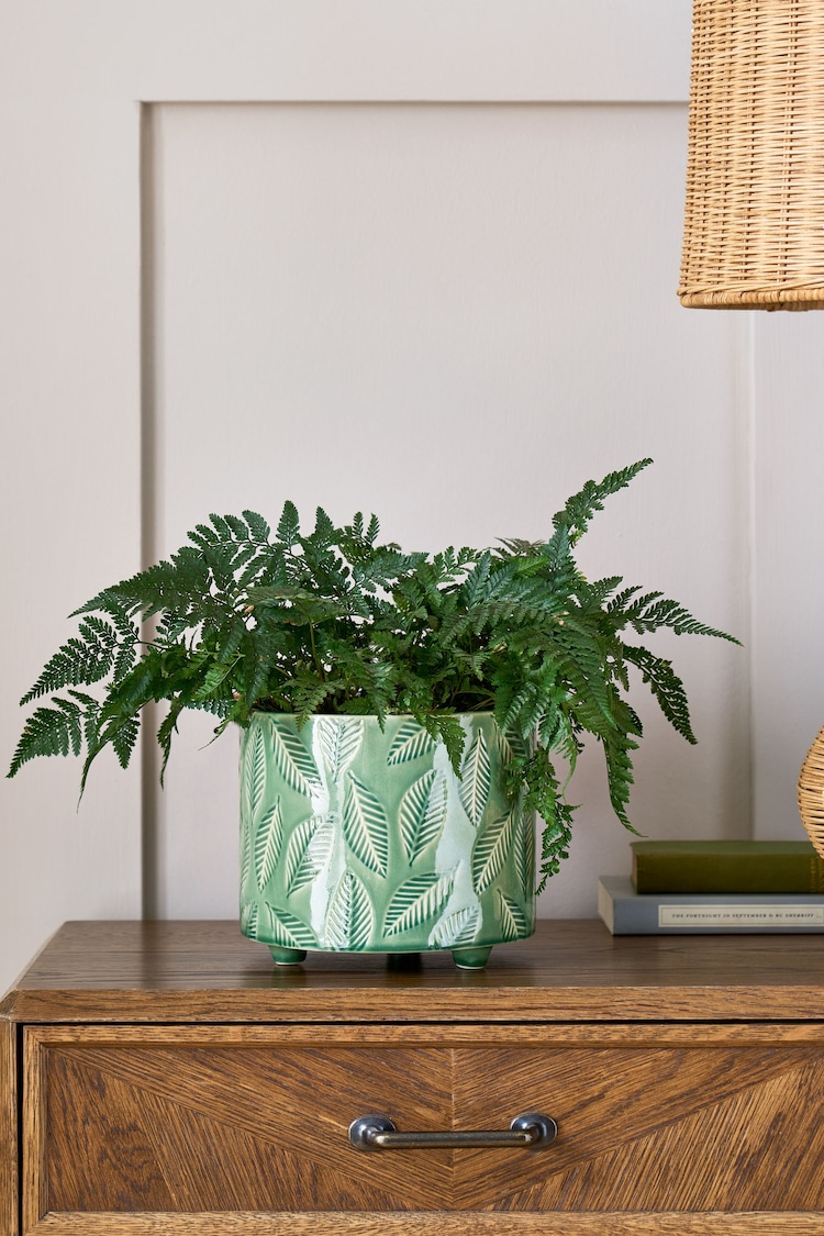 Nina Campbell Green Leaf Printed Plant Pot - Image 1 of 3