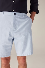 Light Blue Oxford Straight Fit Stretch Chinos Shorts - Image 4 of 9