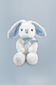 Babyblooms Blue Blanket Cake with Personalised Baby Bunny Soft Toy Gift - Image 4 of 4