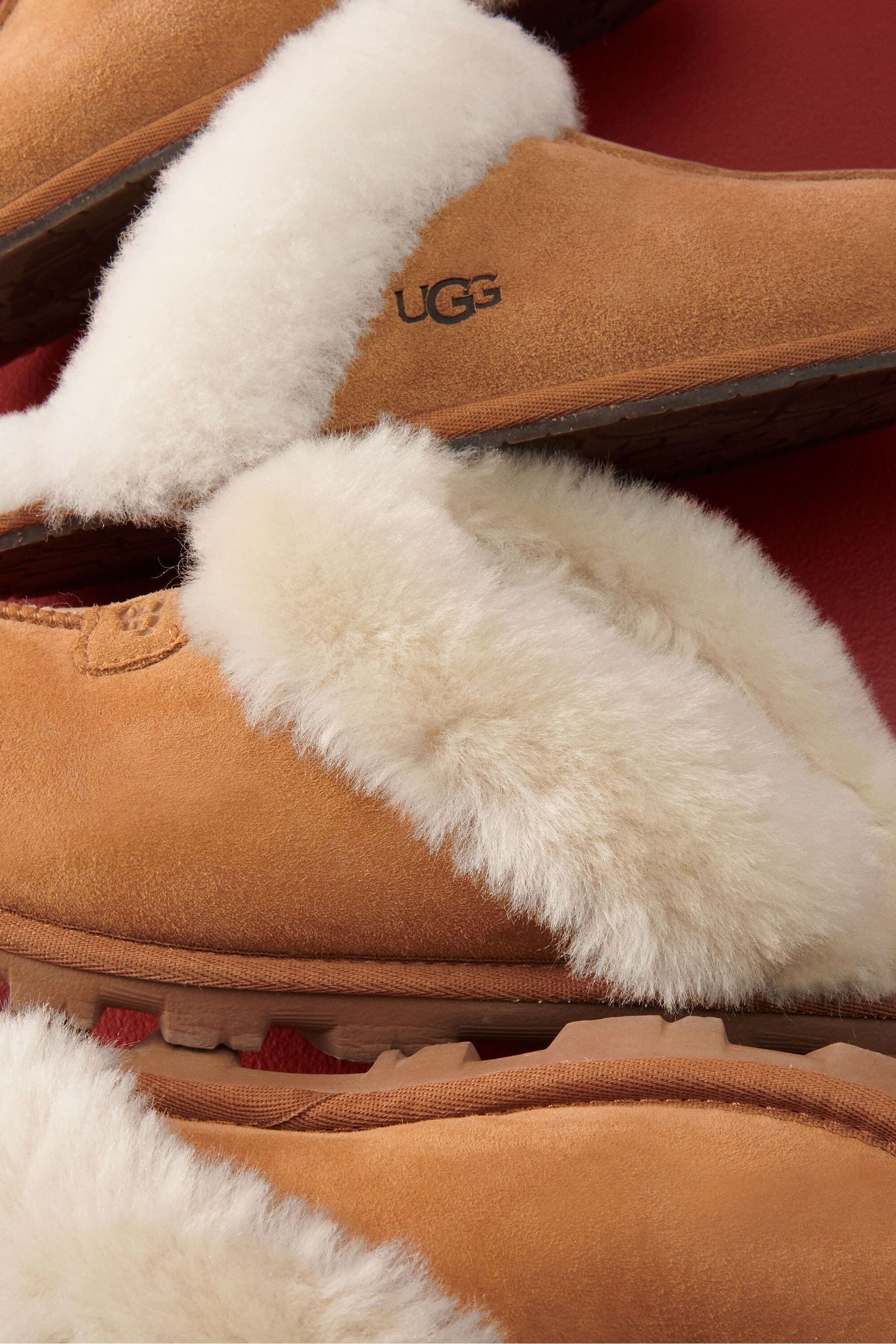 Chestnut uggs slippers shop