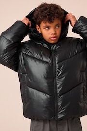 Black Padded Puffer Jacket (3-17yrs) - Image 2 of 11