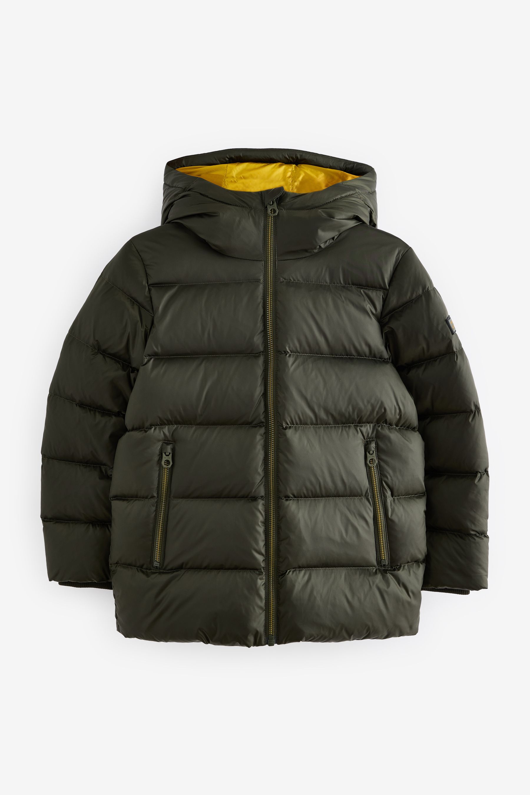 Buy Green Premium Hooded Padded Down Fill Coat 3 16yrs from the Next UK online shop