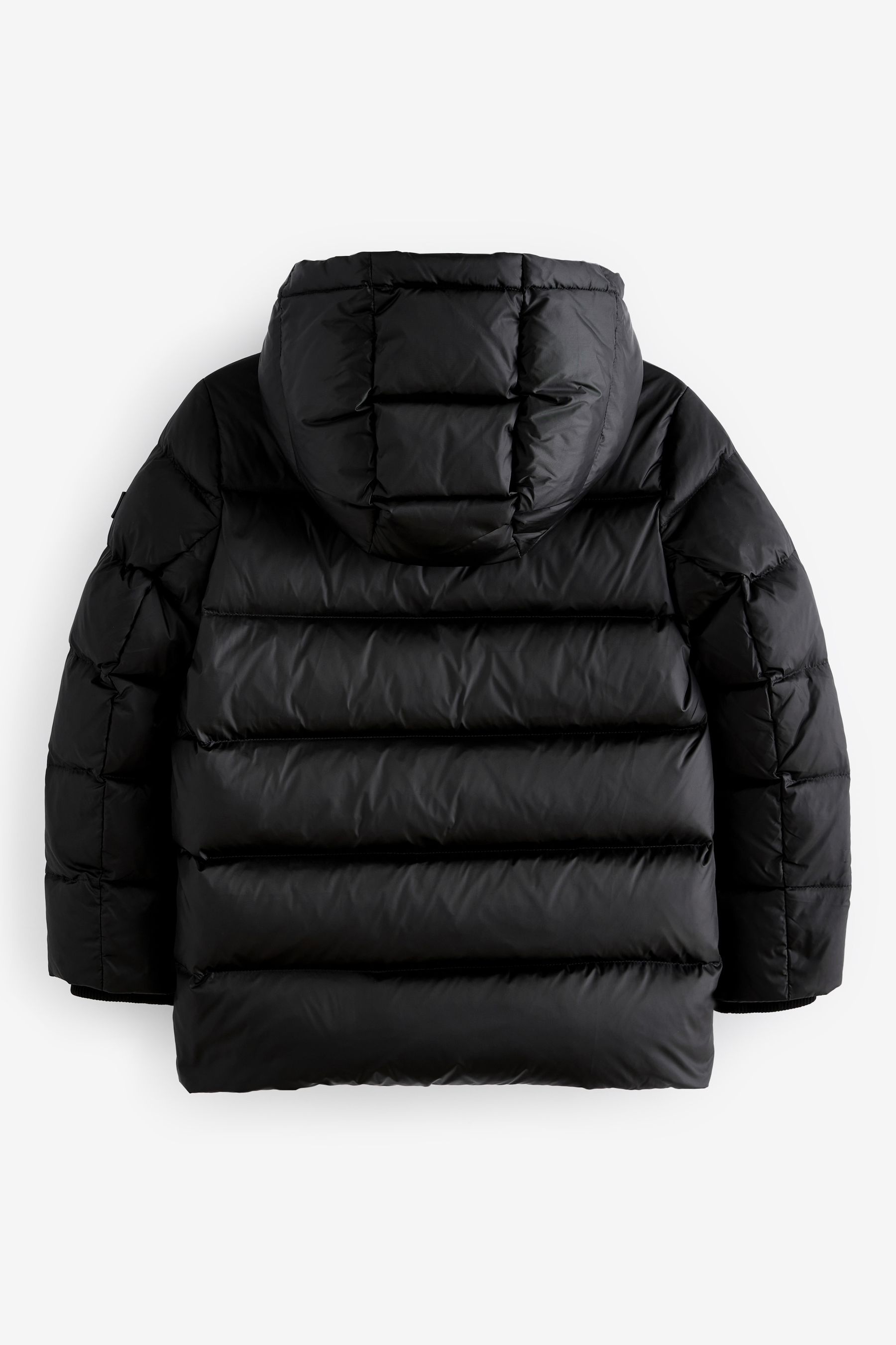 Next down filled jacket 2025