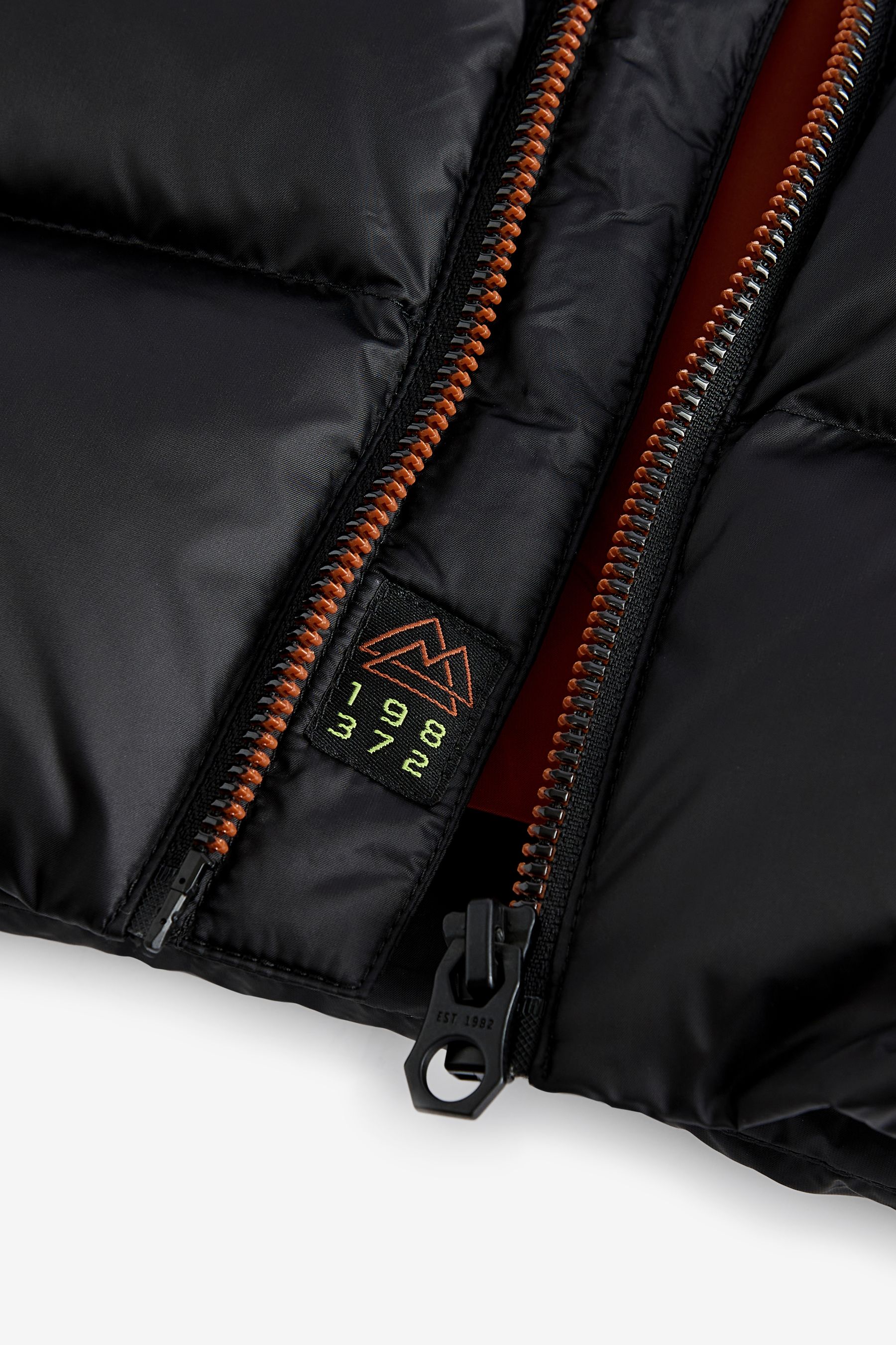 Buy Premium Hooded Padded Down Fill Coat 3 16yrs Next Ukraine
