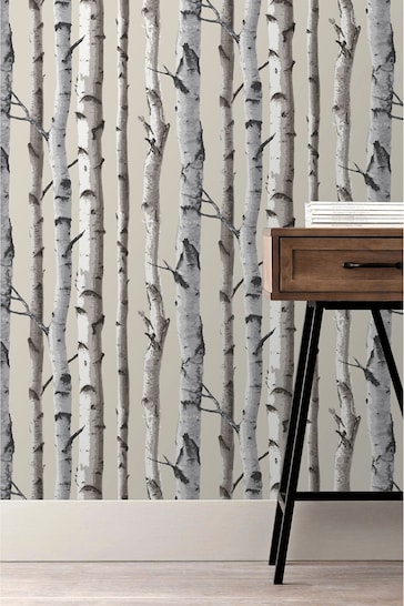 Buy Fine Décor Distinctive Birch Tree Sidewall Wallpaper from the Next UK  online shop