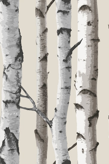 Fine Décor Natural Distinctive Birch Tree Sidewall Wallpaper