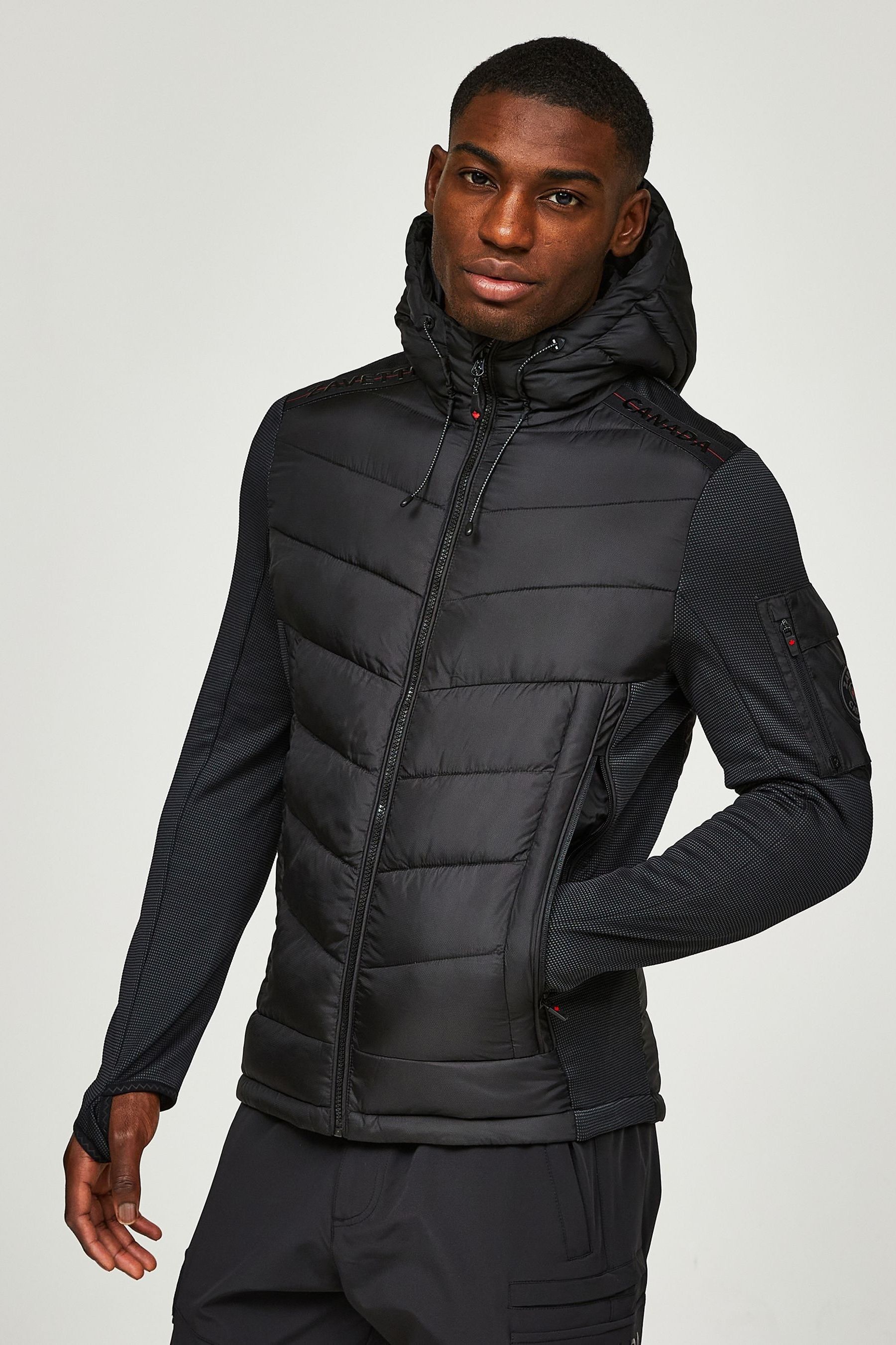 Buy Zavetti Canada Balvazetti Hybrid Puffer Black Jacket from Next Ireland