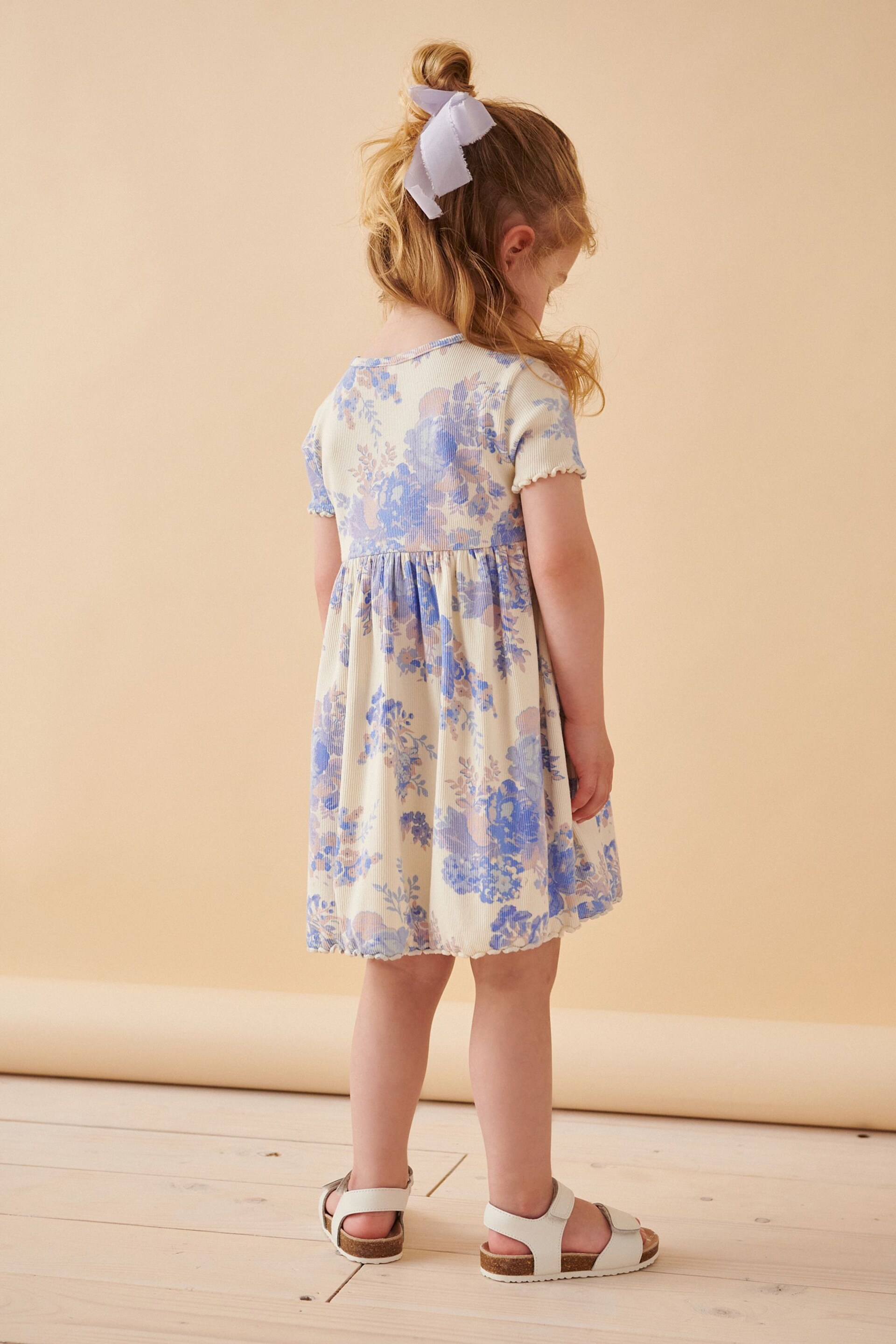 Blue/Neutral Short Sleeve Rib Jersey Dress (3mths-7yrs) - Image 3 of 7