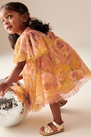 Ochre Yellow Floral Mesh Dress (3mths-7yrs) - Image 4 of 7