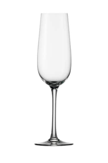 Weinland Set of 6 Clear Champagne Flutes By The DRH Collection
