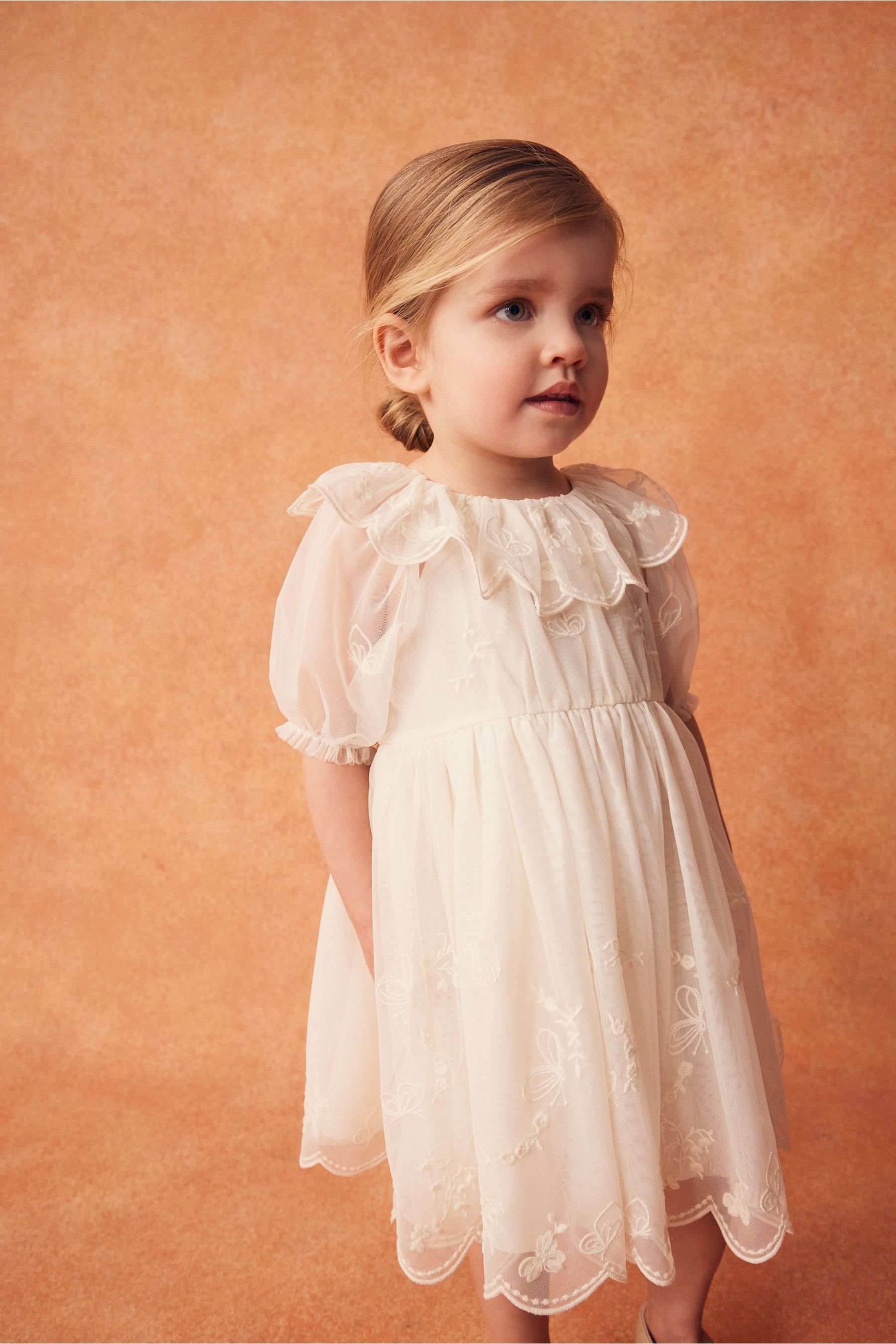 Buy Cream Embroidered Mesh Party Dress 3mths 8yrs from Next United Arab Emirates