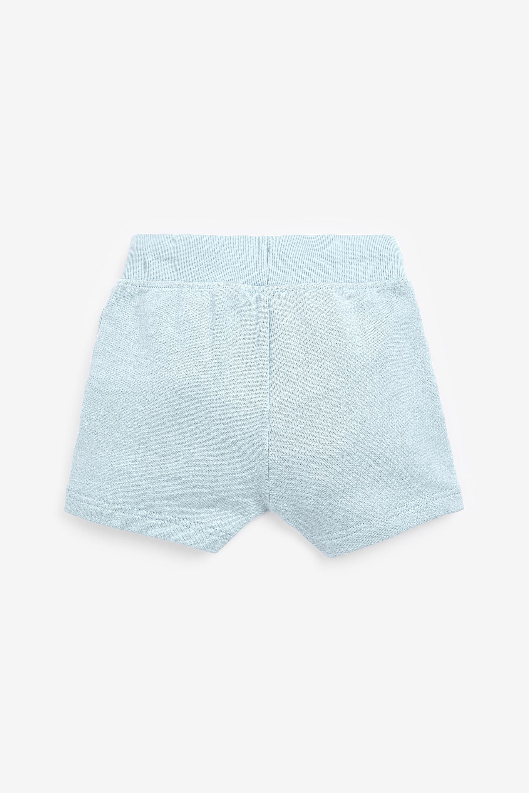 Baby blue online sweat shorts