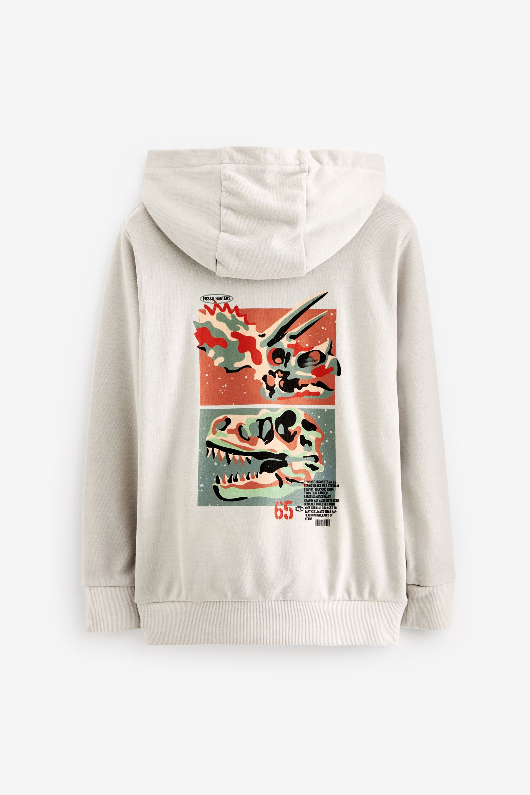 Next dinosaur hoodie sale