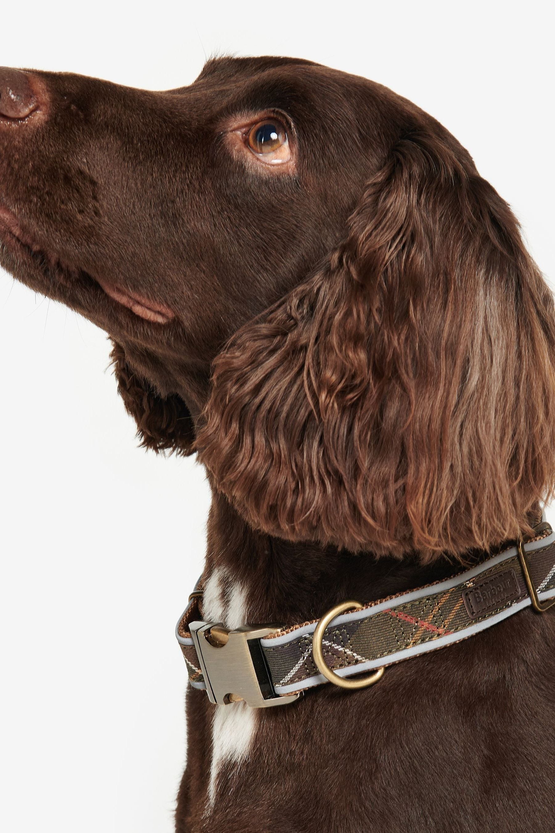 Barbour tartan collar new arrivals