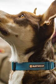 Ruffwear Blue Hi & Light™ Lightweight Dog Collar - Image 1 of 4