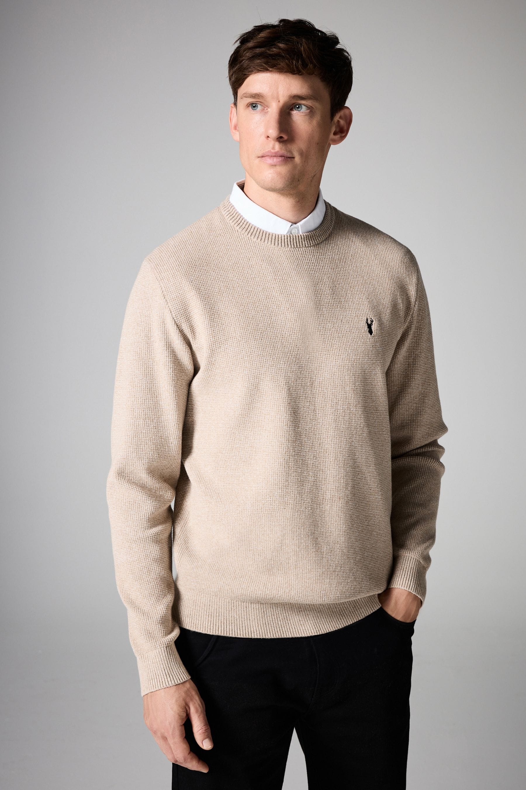 Neutral Oxford Crew Neck Regular Mock Shirt Jumper