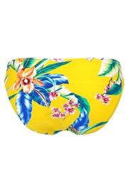 Pour Moi Yellow & Blue Multi Floral Brief Heatwave Briefs - Image 4 of 5