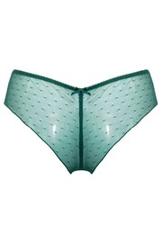 Pour Moi Green Flora Lace Brazilian Brief Knickers - Image 4 of 4