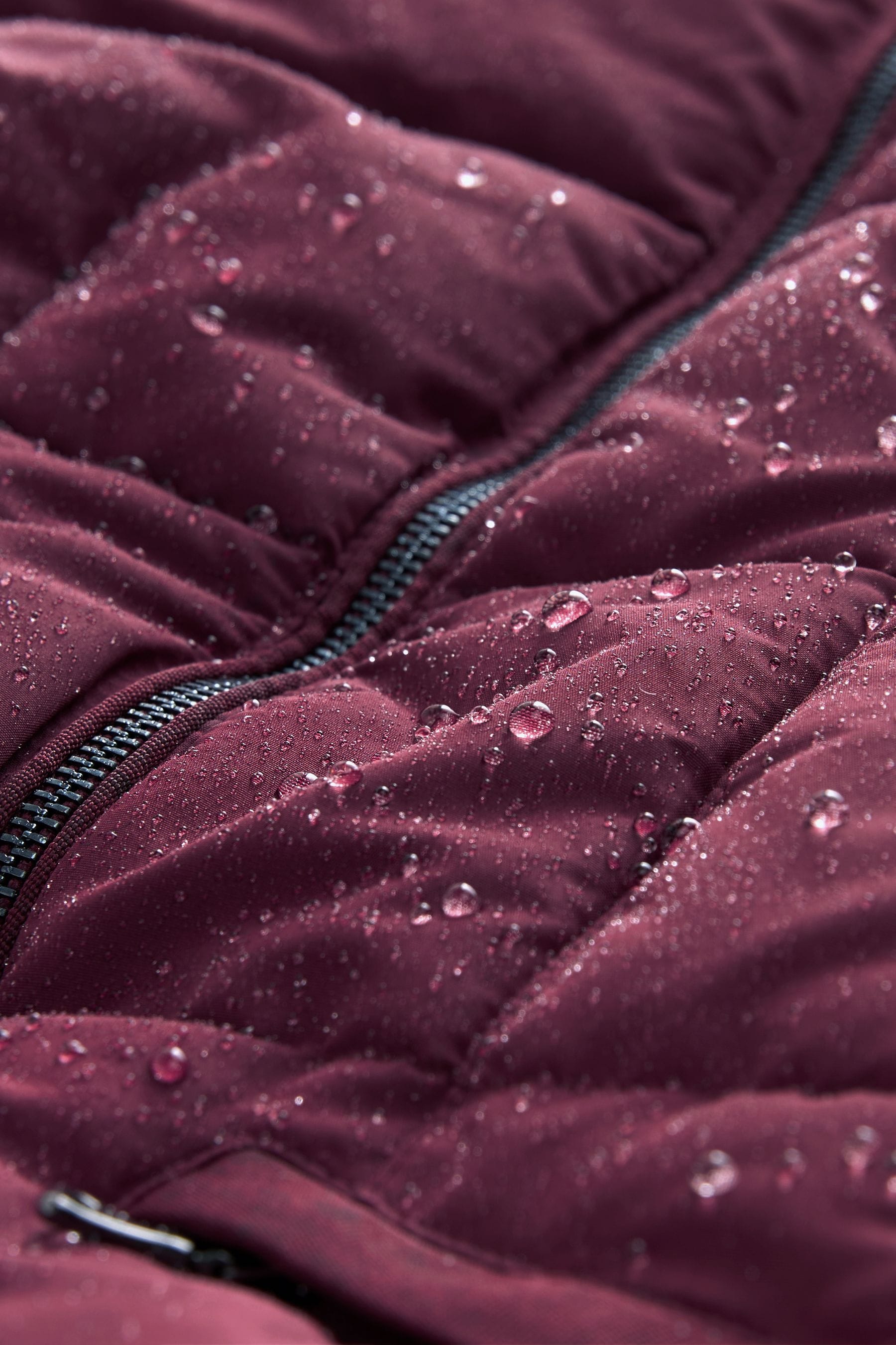 Burgundy quilted coat top