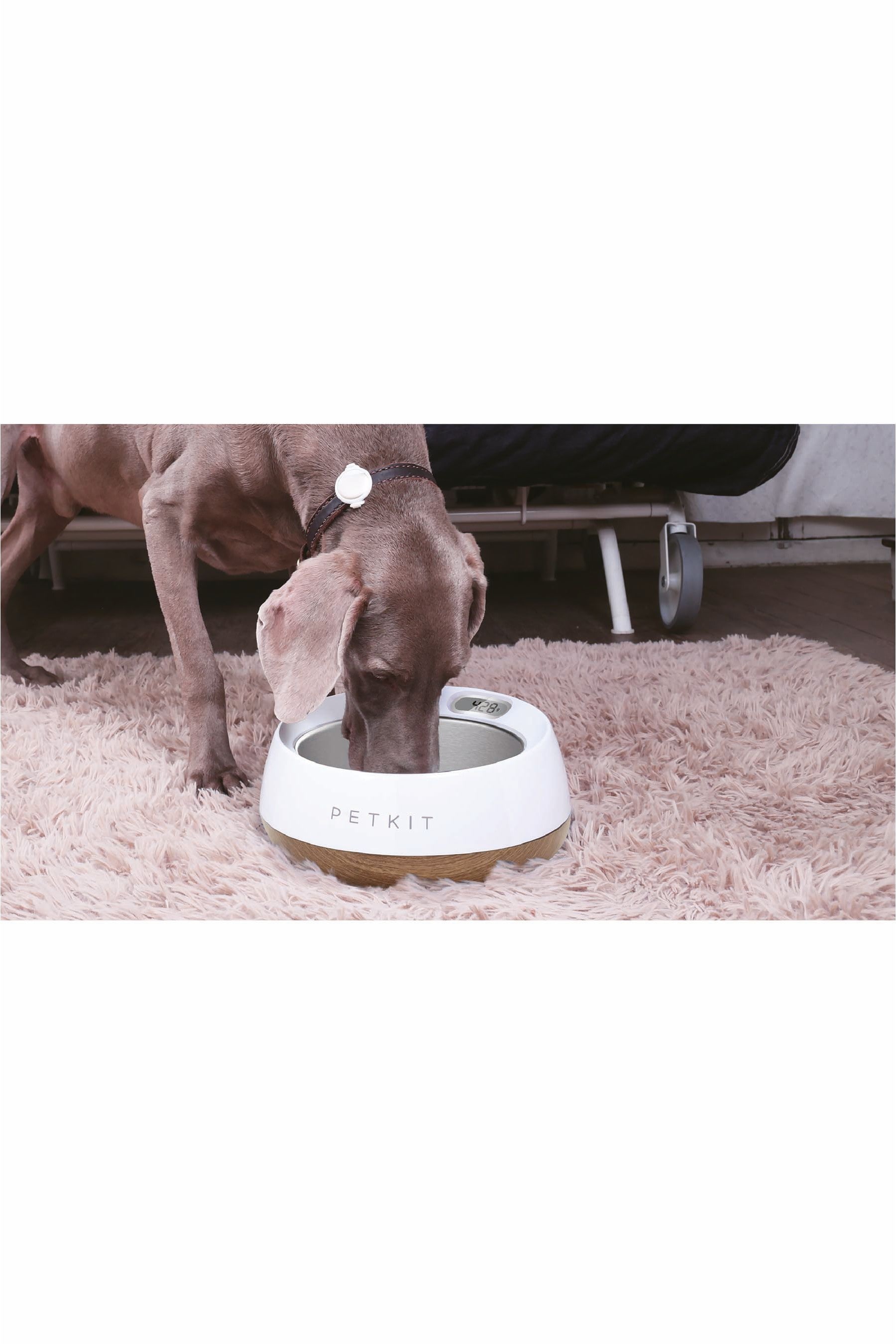Fresh metal smart pet bowl cheap