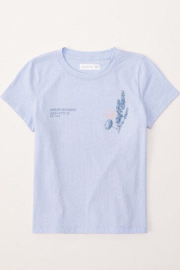 Abercrombie & Fitch Blue T-Shirt