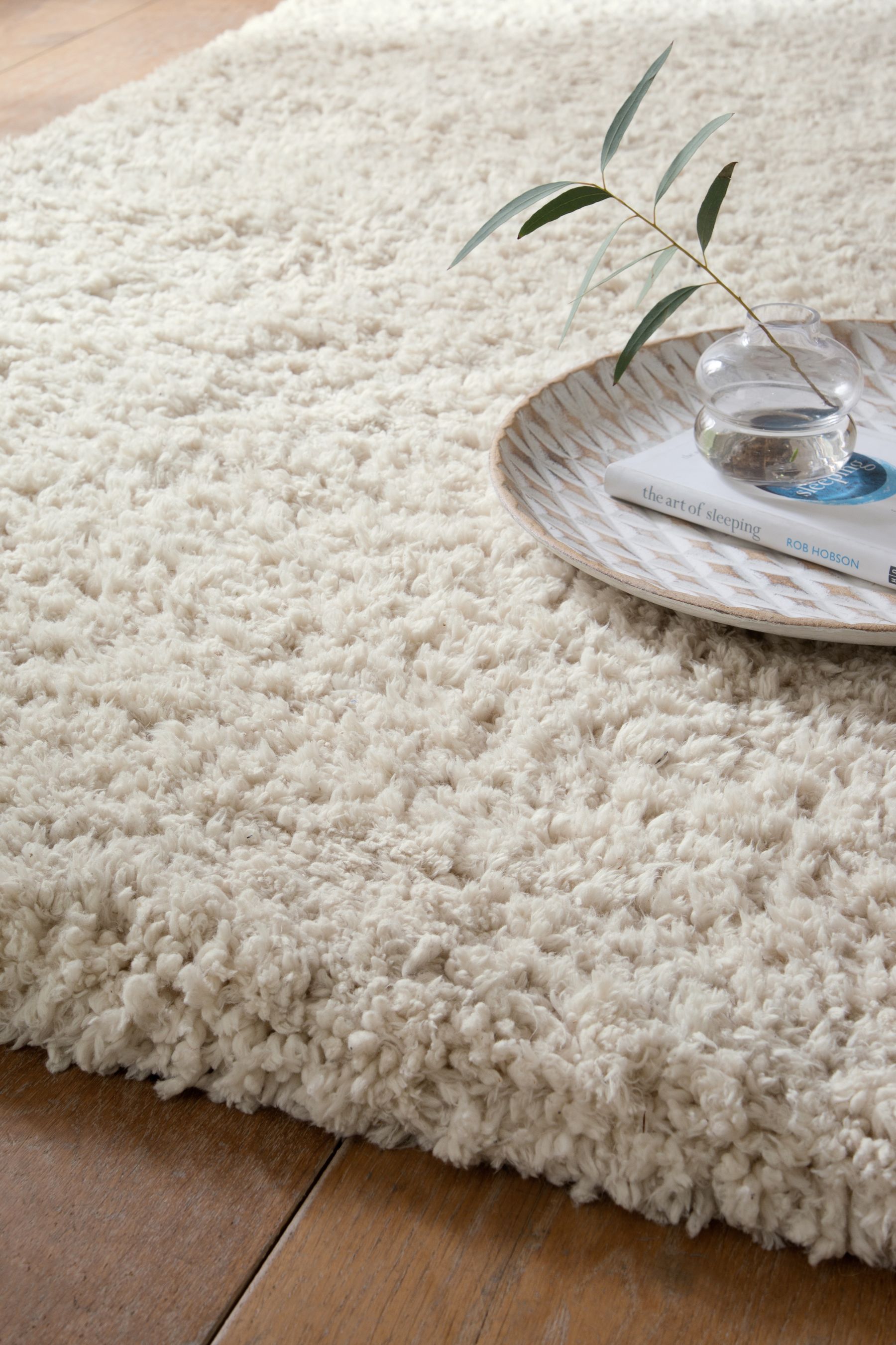 Shaggy soft deals rug