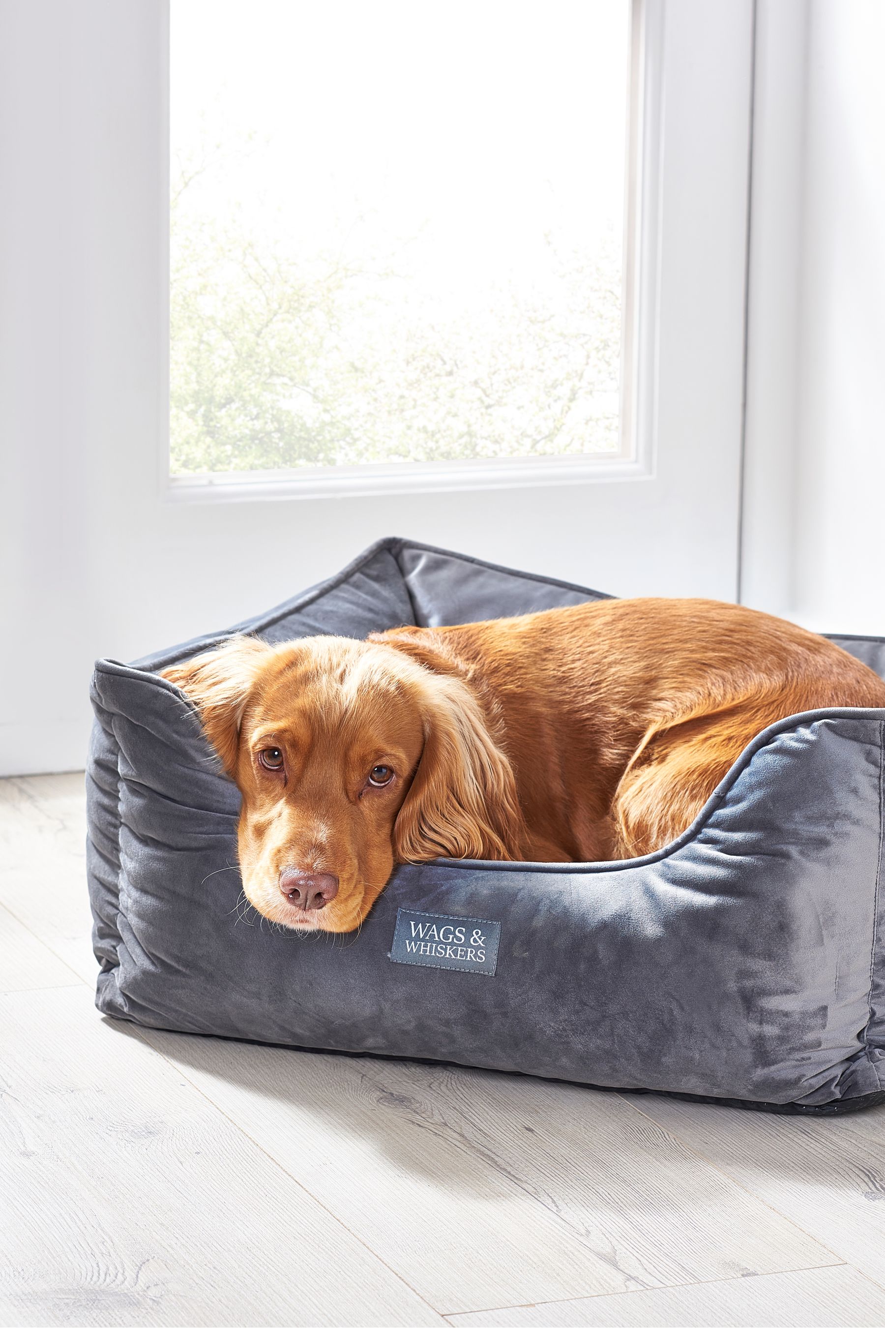 Pet cot clearance